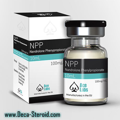 Nandrolone Phenylpropionate